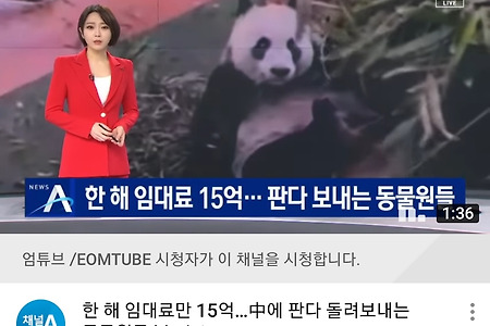 한국 동물원에서 판다를 절대로 사육해서는 안 되는 이유