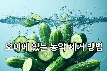 오이에 있는 농약 제거 방법 + 채소 농약 제거에 소금을 쓰는 이유