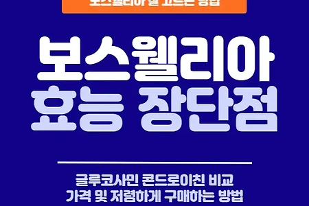 보스웰리아 효과 및 글루코사민 콘드로이친 비교 및 잘 고르는법 (ft. 가격 판매하는 곳)