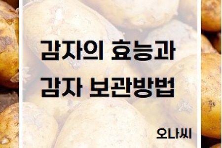 "감자의 효능과 주의사항, 감자 보관방법"