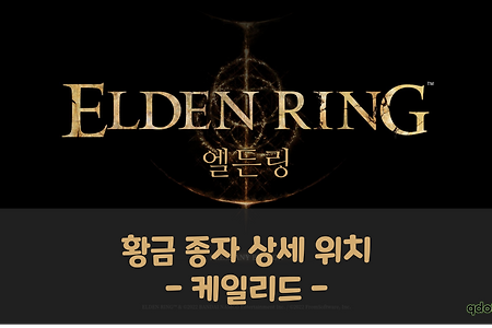 [Elden Ring] 엘든링 : 황금 종자 상세 위치 (케일리드)