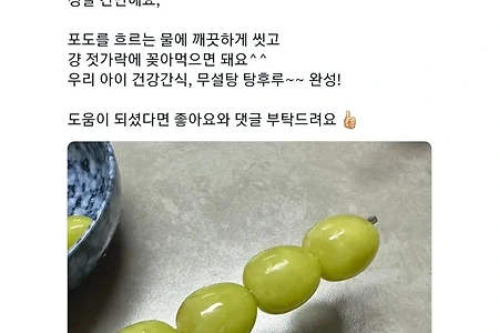 요즘 뜨고 있다는 무설탕 탕후루