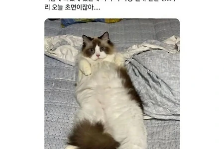 얘 나랑 초면인데....jpg