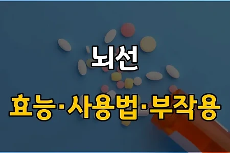 뇌선 복용 전 확인해야 할 3가지! 효능·효과, 사용법, 주의사항(부작용)