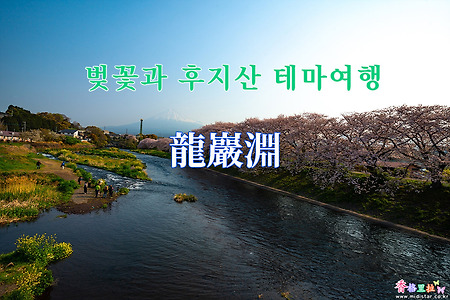 2019 벚꽃과 후지산 테마여행 - 류간부치(龍巖淵) 벚꽃