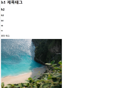 [HTML] HTML의 기초 - 태그 사용하기 (with github)