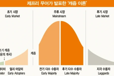 전기차 시장의 캐즘 현상과 비야디(BYD)의 역할