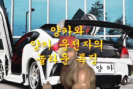 모두가 말하는 양카와 양카운전자의 특징