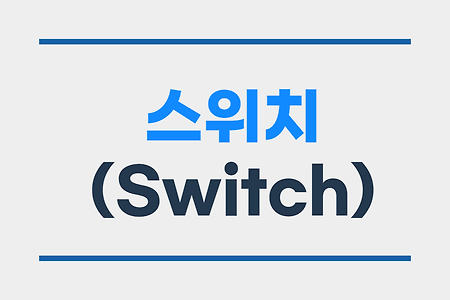 다양한 종류의 스위치(Switch)
