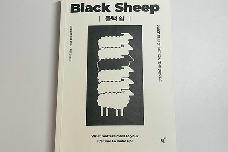 [책 리뷰] 브랜트 멘스워 - 블랙 쉽(Black sheep) / 자기계발서 / 잠들어 있는 내 안의 검은 양을 일깨워라
