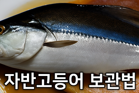 자반고등어 소금에 절이기 + 맛있는 자반고등어 보관법