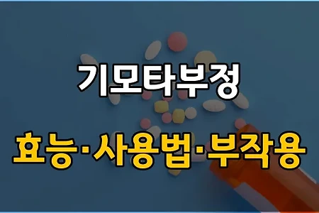 기모타부정 꼭 확인해야 할 3가지! 효능·효과, 사용법, 주의사항(부작용)