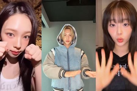 꽁꽁 얼어붙은 한강 위로 고양이가 걸어 다닙니다, 지금은 도파밍 시대!