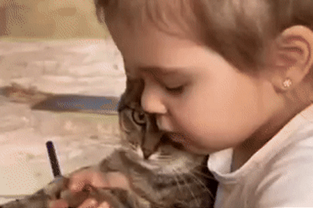 색칠공부 고양이.GIF