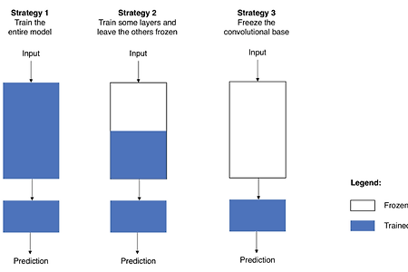 Image Classification < Basic To Transfer > - (2)