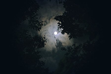 애정 시조에 나타나는 달의 작중 기능(2021학년도 3월 고3 학평)