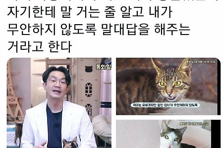 고앵이가 전화할 때 옆에 와서 야옹거리는 이유??