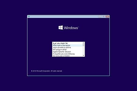 Windows 10 Pro RS5 v.1809.17763.316 Multi Nicky-Rain