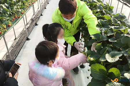 임산부 피부관리 방법을 확인해 보세요