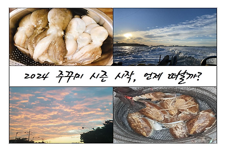 2024년 주꾸미 갑오징어 낚시 시즌 시작! 언제 떠날까? 물때를 보자!