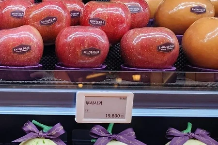 충격적인 사과 1개 가격 근황 ㄷㄷㄷ