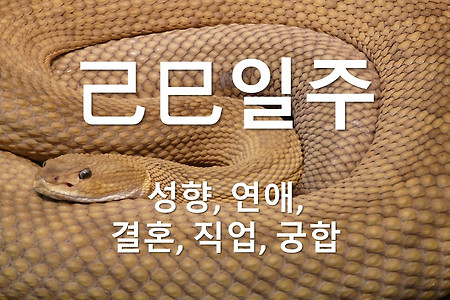 기사(己巳)일주의  성향, 연애, 결혼, 직업, 궁합