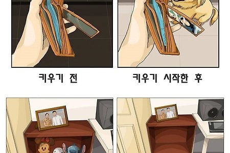 반려동물을 키우기 전과 후