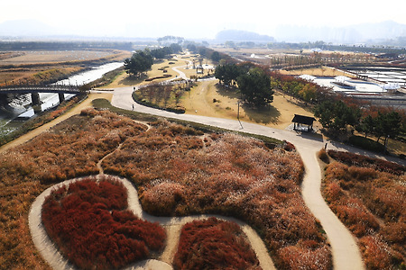 삶의 길 (시흥갯골생태공원. 2020.10.28.수)