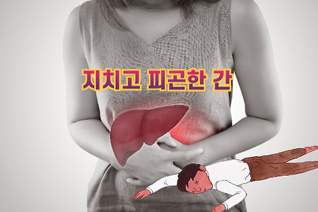 지친 간, 어떻게 회복할 수 있을까요?