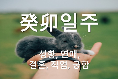 계묘(癸卯)일주의  성향, 연애, 결혼, 직업, 궁합