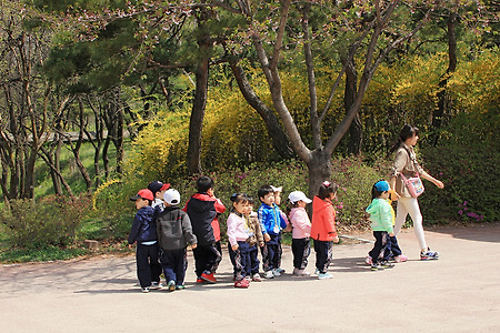 병아리들의 봄 나들이 (인천대공원. 2013.05.01.수)