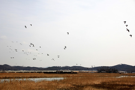 소래의 하늘 (소래습지생태공원. 2012.03.03.토)