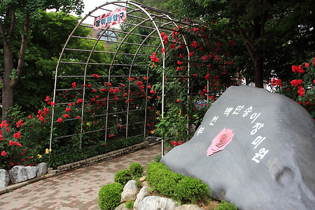 도당공원 장미축제 (2010.06.13.일)