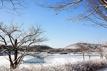 눈... 호수 (인천대공원. 2012.12.30.일)