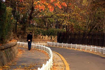가을 상념 (자유공원. 2010.11.21.일)