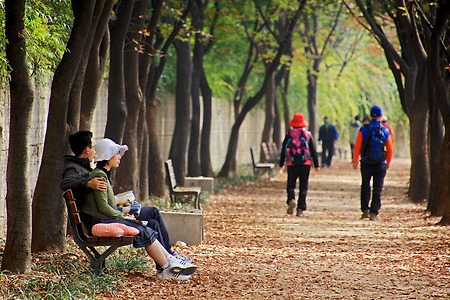 가을 공원의 가족들 (인천대공원. 2011.10.23.일)