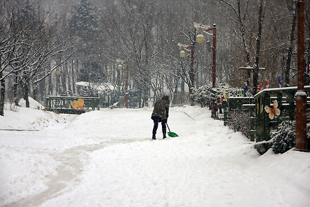 눈을 치우는 사람들 (나비공원. 2011.01.23.일)