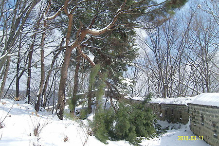 남한산성의 봄 눈