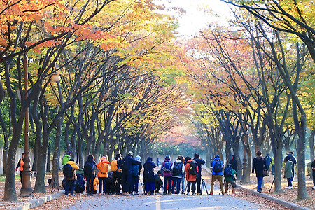 가을을 담는 사진가들 (인천대공원. 2016.10.30.일)