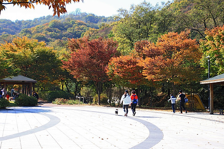 원적산공원 (2015.10.24.토)