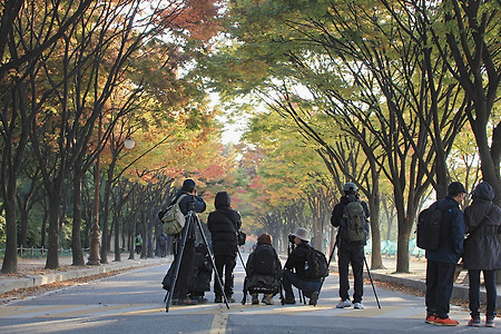 가을을 담는 사진가들 (인천대공원. 2013.10.26.토)
