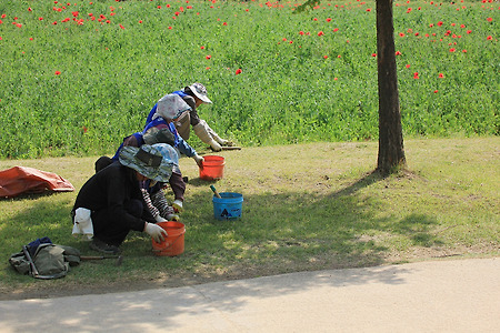 일하는 사람들 (부천상동호수공원. 2014.05.10.토)