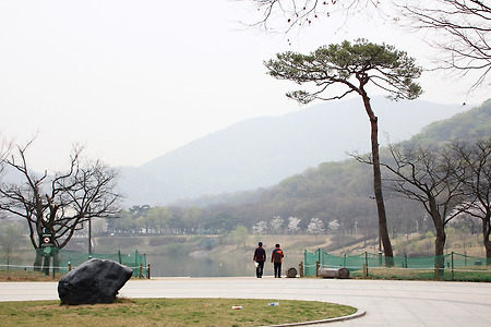 봄... 즐기다 (인천대공원. 2014.04.13.일)