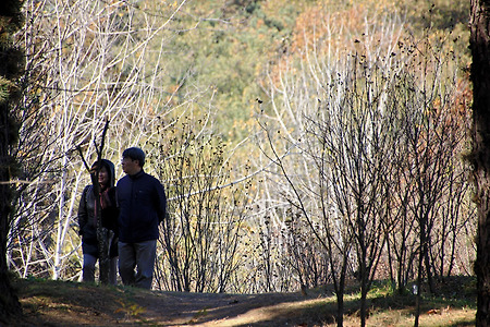 수목원과 사람들 (물향기수목원. 2013.11.10.일)