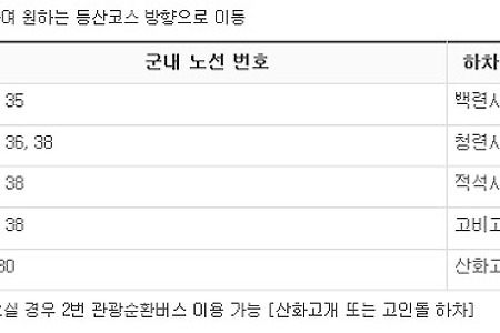 강화 고려산 진달래축제