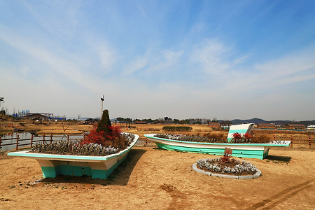 꽃배 (시흥갯골생태공원. 2020.03.06.금)