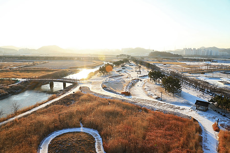 아침 빛 (시흥갯골생태공원. 2018.02.03.토)