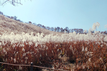 명성산 산정호수