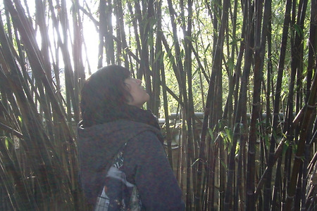 [인터뷰] 친구들이 시네마테크의 홍보대사다 - 신선자 서울아트시네마 기획홍보팀장