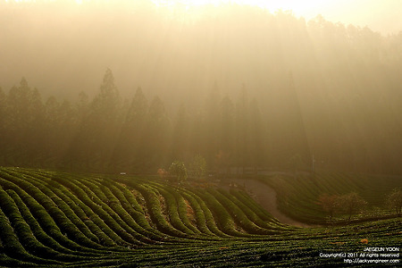 보성, 담양, 순천___`111112